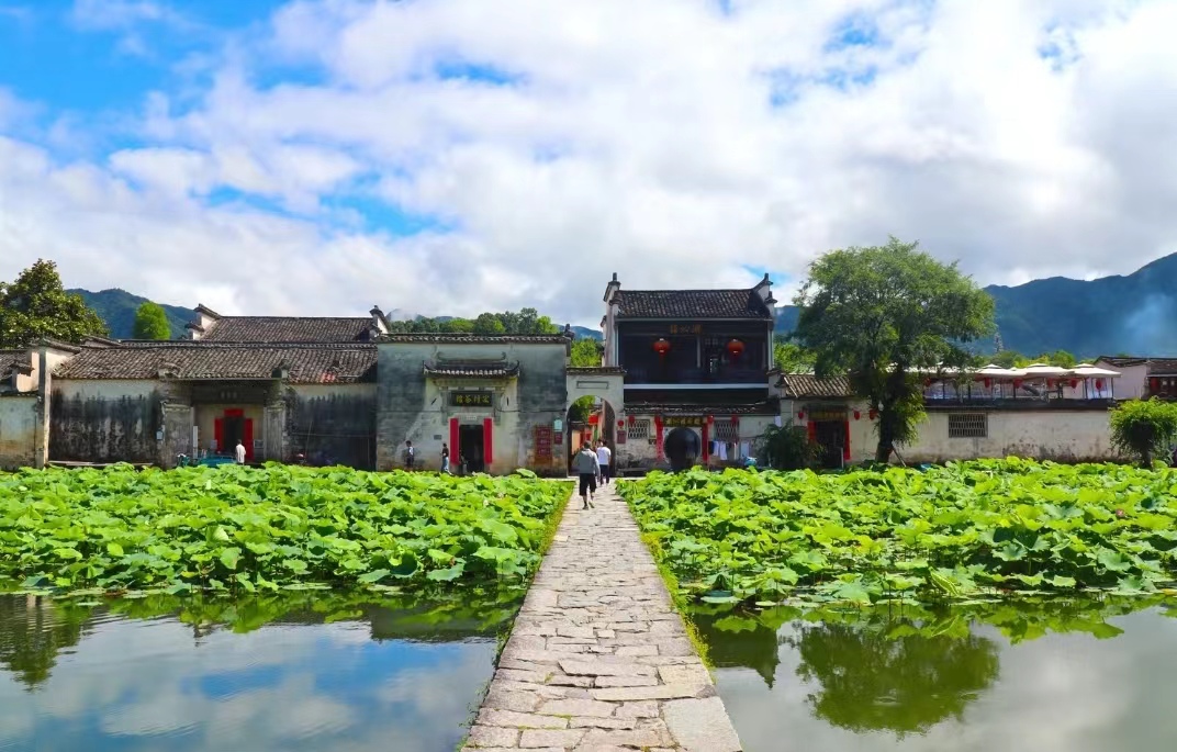 �����ɽ˫��6��  